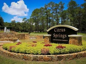 Citrus Springs 53 Lots