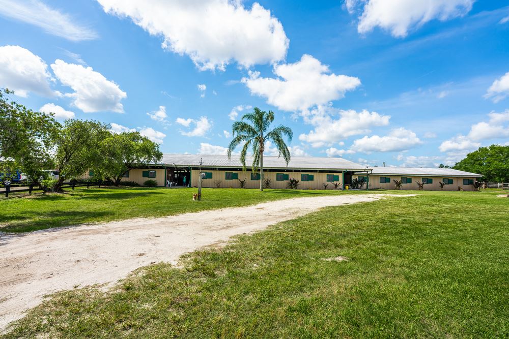 Serendipity Stables