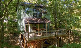 The Tree Houses at River Ranch