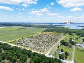 West Lake Buffum Acreage