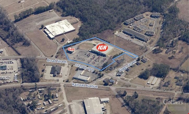 Investment Opportunity: Portfolio of Six Grocery Chain Properties | SC & GA