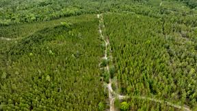Timber Ridge Farm - Timberland Package