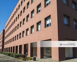 Terraces at Solana - Building 6