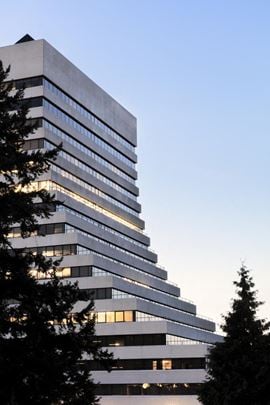  3777 Kingsway | The Boot 