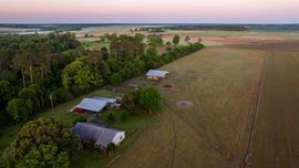 24795 County Road 32