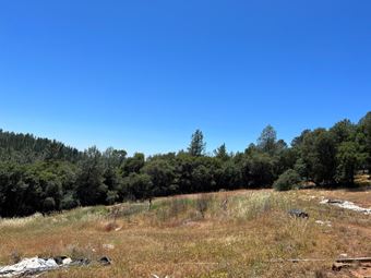 ±20 Acres of Level Land in Brownsville, CA