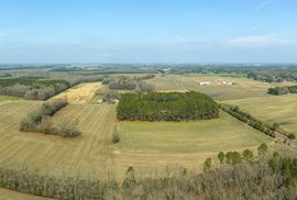 Delmar Agricultural 35.88+/- Acres