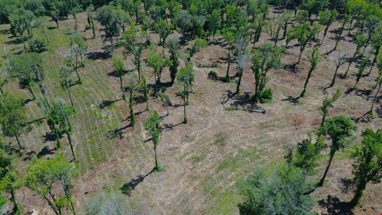 39 +/- Acres in Horse Country