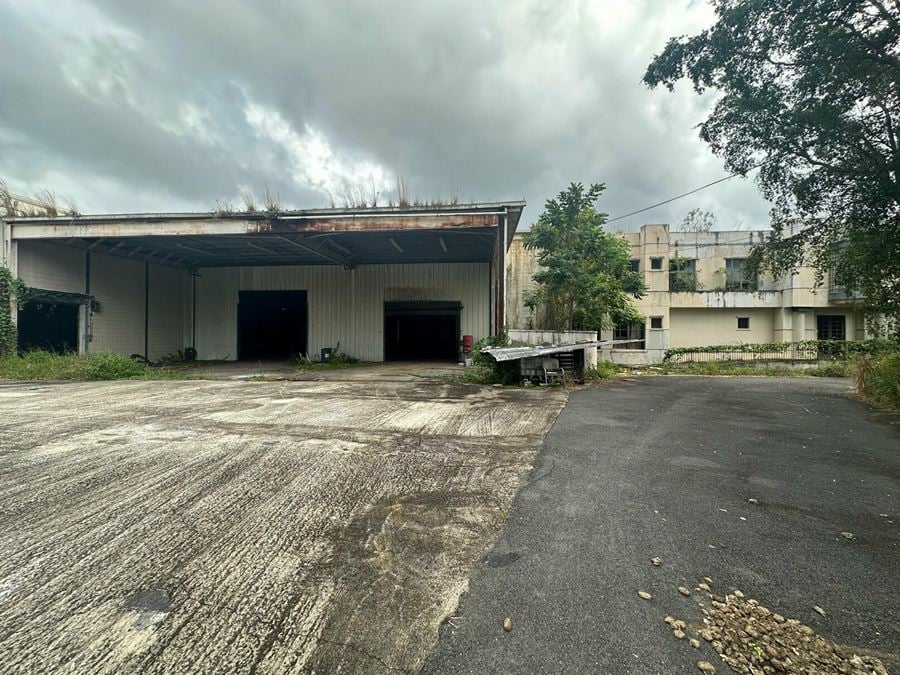 Vega Alta Warehouse "El Morro"