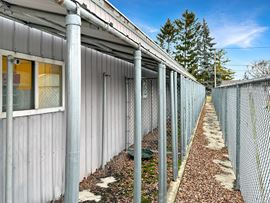 Dog Kennel 