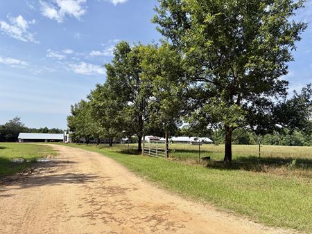 VacantLand space for Sale at 897 South Butler Springs Road in Forest Home