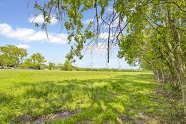 7317 2nd, Hitchcock, TX 77563 - PRCE REDUCED!