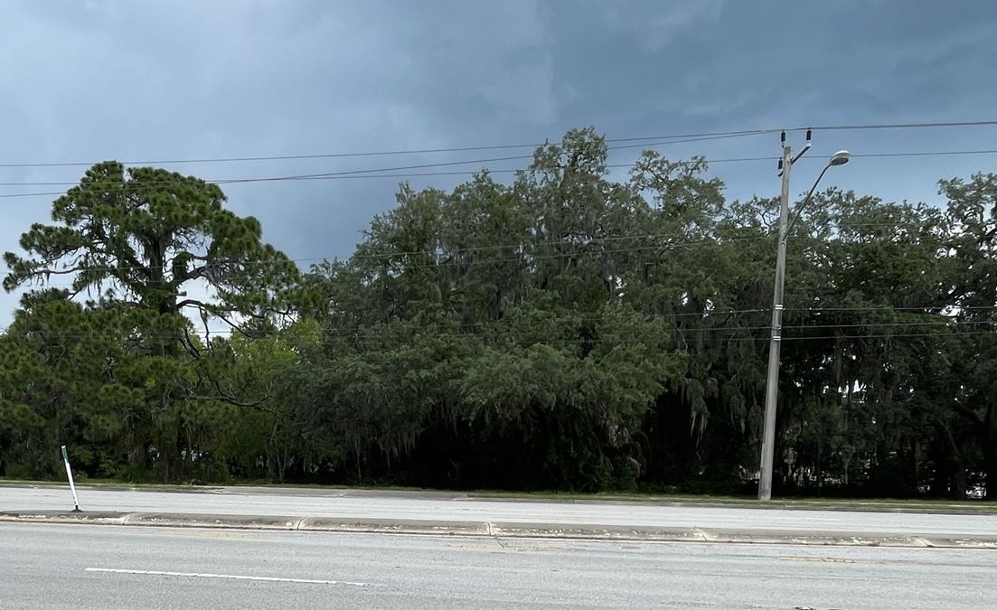 Stunning Wooded Lot with Old Florida Charm