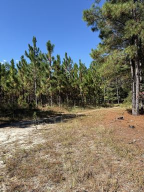 TBD Mt Beulah Rd