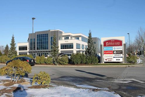 GOLDEN EARS BUSINESS CENTRE