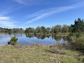 28 ± Acre Patterson Road Tract