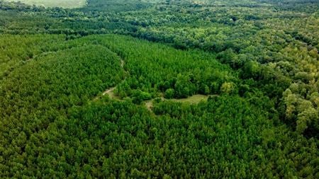 VacantLand space for Sale at Les Smith Road in Ellaville