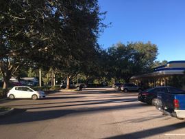 Royal Palm Square