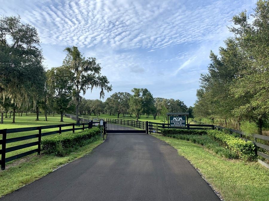 Equestrian Estate Near Ocala