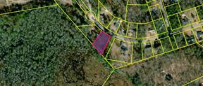 HALF AC MHP LAND HOME SALE CAPACITY OR WORKFORCE HOUSING MULTIFAMILY UTILIZATION - Lexington County, SC