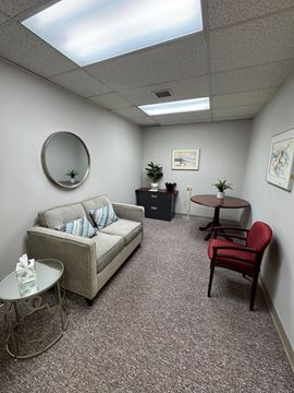 CEO Suites, Inc