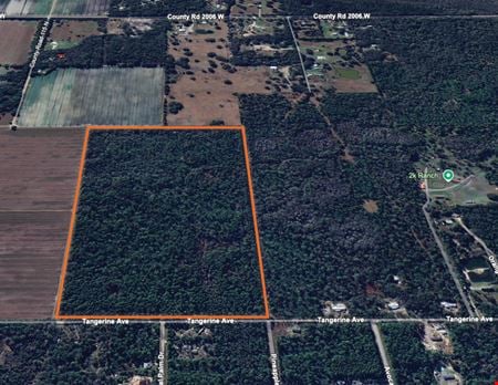 VacantLand space for Sale at 0 Tangerine Ave in Bunnell