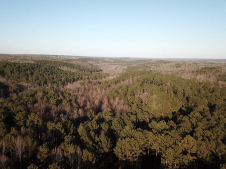VacantLand space for Sale at Mt Zion Rd in Whitesburg