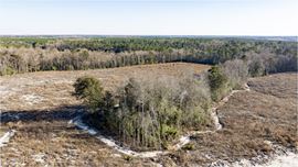Block 107 North Hunting & Timber