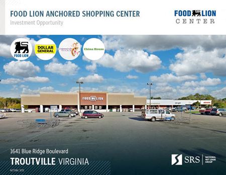 Troutville, VA - Food Lion Anchored Shopping Center - Troutville