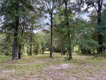 VacantLand space for Sale at 0 Cloverdale Road in Greenville