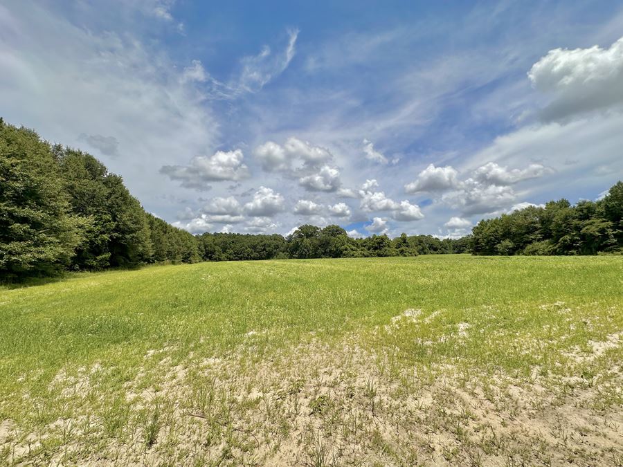 Dupree Tract