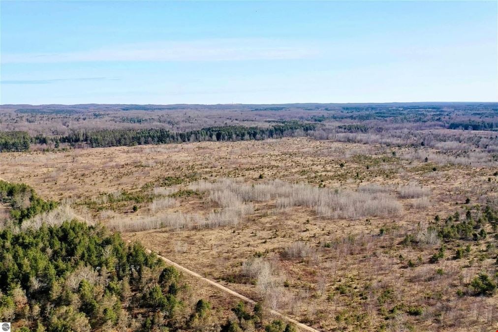 Over 200 Acres of Vacant Land for Development