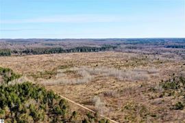 Over 200 Acres of Vacant Land for Development