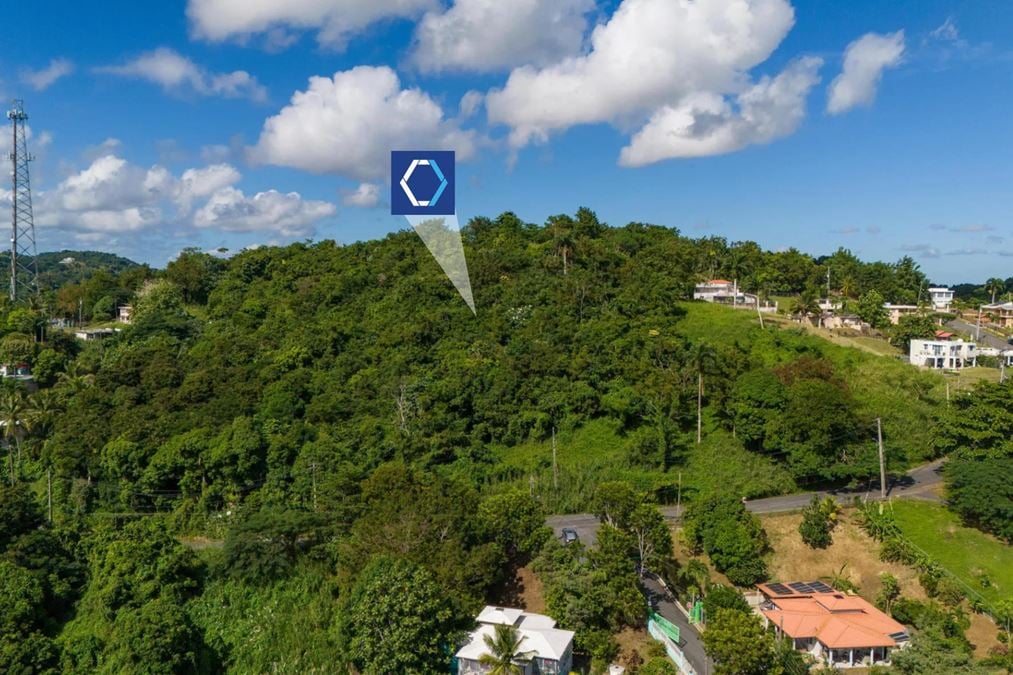 Trujillo Alto Vacant Land at Carraízo - For Sale