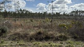 20-Acre  in Altha, Fl -AG Zoned with Development Potential