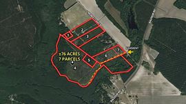 ±76 Acres McNeill Lake Rd