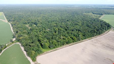 VacantLand space for Sale at Highway 411 in Rosedale