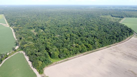 Recreational & Hunting Tract