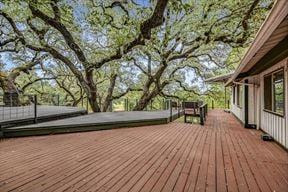 The Old Backyard