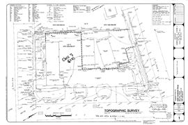 965 Park Ave - Land for Development