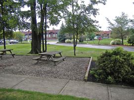 Treeline Business Park