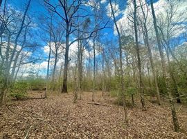 Everly Place Homesite