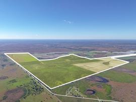 ±742.87 Acres | Osceola County, FL – Scalable Farm with Ranch History, Wildlife & No Conservation Easement