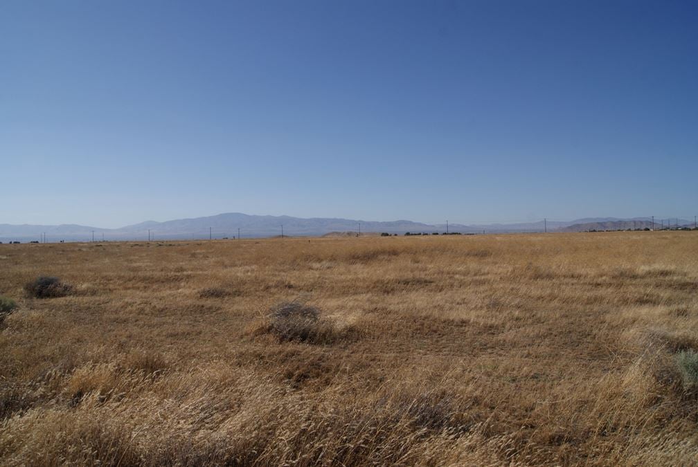 2.5 Acres Antelope Acres