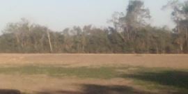 5.7 Ac fronting Hwy 96 b/w future Apts & Retail