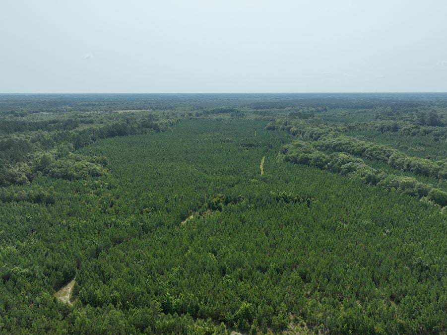 246 acres in Pierce County GA