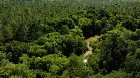 VacantLand space for Sale at 00 Robinson Rd in Baconton