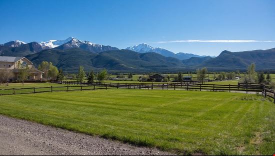 Lawn Maintenance Business