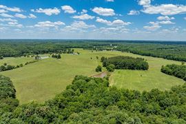 1095 Steel Bridge Rd