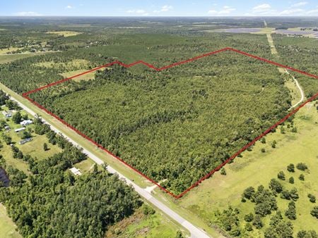 Photo of commercial space at NW CR 275  in Altha
